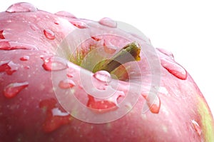 Red apple cowered with water drops.