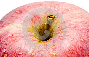 Red apple detail, water drops