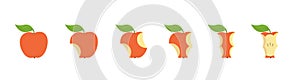 Red apple fruit bite stage set. From whole to apple core gradual decrease. Bitten and eaten. Animation progression. Flat vector