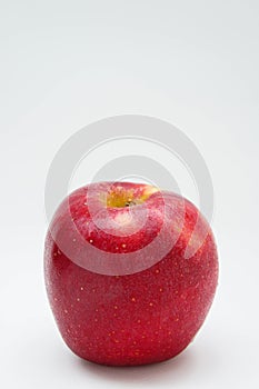 Red apple fruit on white background