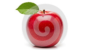 To the stem. Water droplets are visible on the leaf indicating