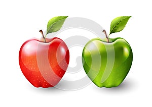 Red apple and green apple, fruit isolated, Vector illustration