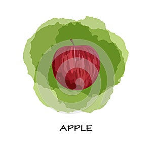 Red apple on green background