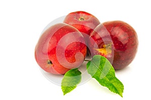 Red apple with green leaves