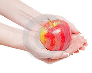 Red apple in hands isolated on whine