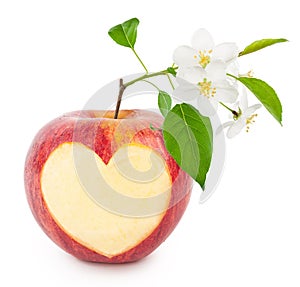 Red apple heart with leaves and flowers