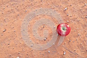 A red apple isolated on a dry desert sand. Food security, desertification and climate change concept