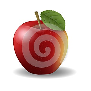 Red apple with a leaf  vector