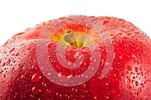 Red apple, macro