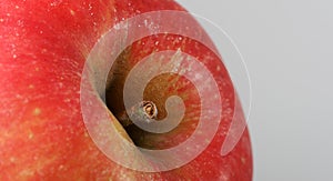 Red apple, macro