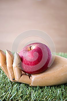 Red apple put in wooden hand