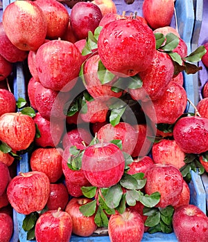 Red apple selling in fruits market, Healthy food, organic fruit, street vendors kolkata