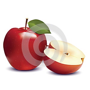 Red apple and slice isolated on white photo-realistic illustration.