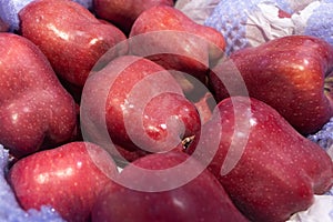 Red apple in supermarket sales