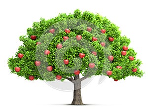 Red apple tree isolated 3D illustration