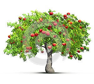 Red apple tree isolated 3D illustration