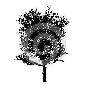 Red apple tree silhouette