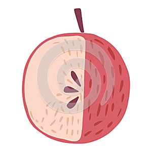 Red apple with twig and without leaf isolated on white background. Apple with seeds hand drawn in doodle style