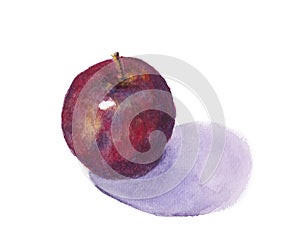 Red apple watercolour painting