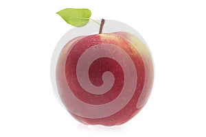 Red apple on a white background
