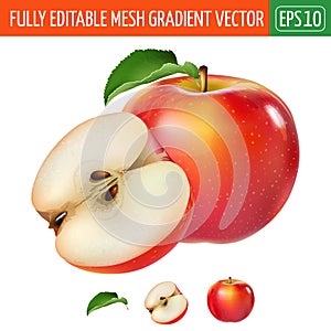 Red apple on white background. Vector illustration