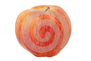 Red apple with yellow color isolated on white