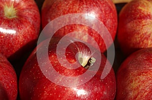 Red Apples