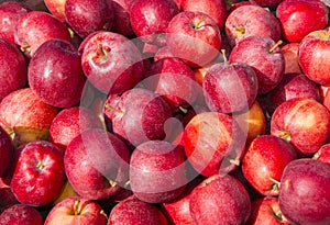 Red Apples