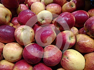 Red apples photo