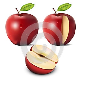 Red Apples, Apple Slice and Green Leaves with white isolated background, Vector Illustration