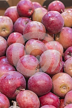 Red apples for backgrounds. Red apples background at departmental store. vertical photo.