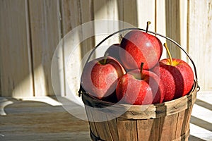 Red apples and basket in striped sunlight