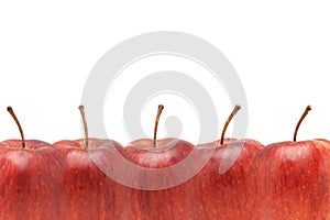 Red apples border