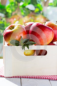 Red apples in the box