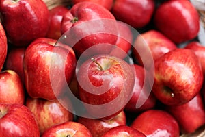Red Apples photo