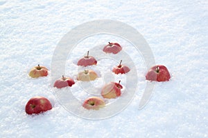 Red apples on fresh fluffy snow.