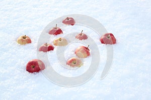 Red apples on fresh fluffy snow.