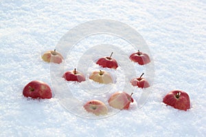 Red apples on fresh fluffy snow.