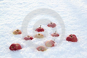 Red apples on fresh fluffy snow.