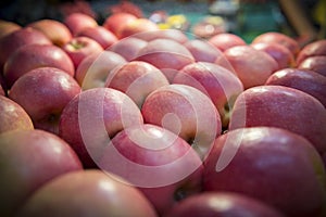 Red apples fruit