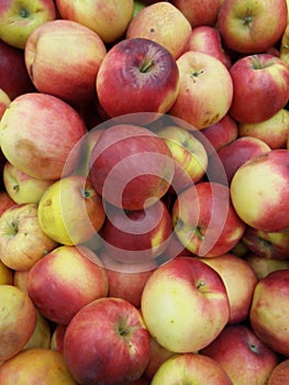 red apples Idared