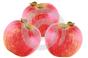 Red apples isolated on white