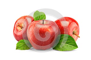 Red apples isolated on white photo