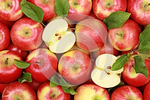 Red apples with leaves photo