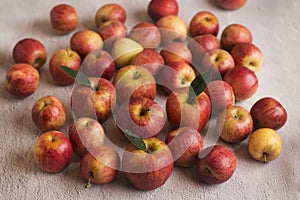 Red apples with leaves on a gray background