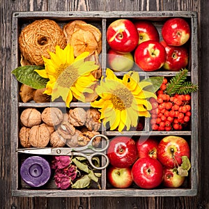 Red apples, nuts, flowers, sunflowers, dried apples