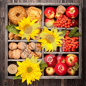 Red apples, nuts, flowers, sunflowers, dried apples