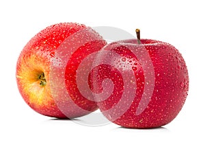 Red apples with water drops