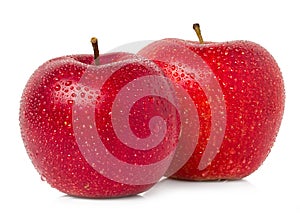 Red apples with water drops