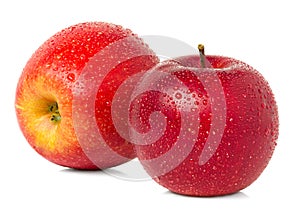 Red apples with water drops